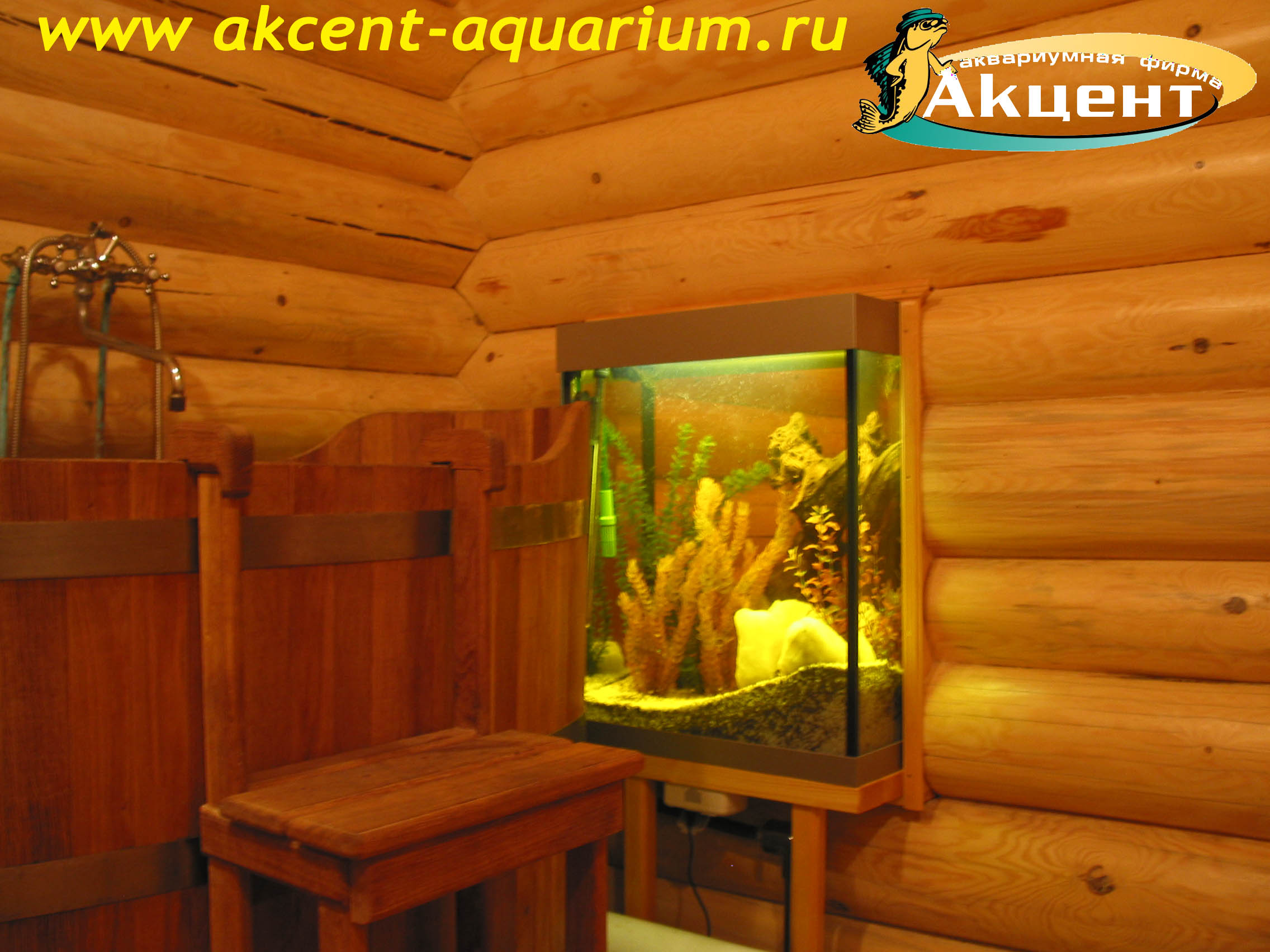Акцент-аквариум, аквариум 180л, просмотровый, в бане